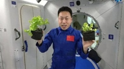 Hey科技 | 中国人的种菜天赋！太空菜园“收菜”了，航天员边摘边吃