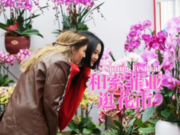 深圳有滋味（双语版）第43期：在这里，与春天撞个满怀