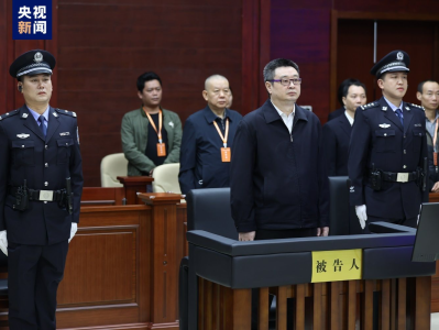 广西壮族自治区人民政府原副主席刘宏武一审获刑15年