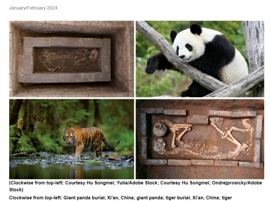 大熊猫殉葬！汉文帝霸陵入选“2023年度世界十大考古发现”