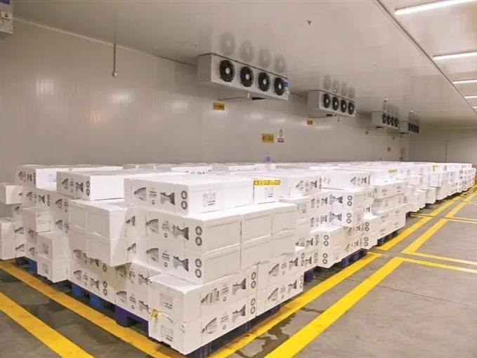深圳机场国际货站冷库启用 日冰鲜货物保障能力提升至200吨