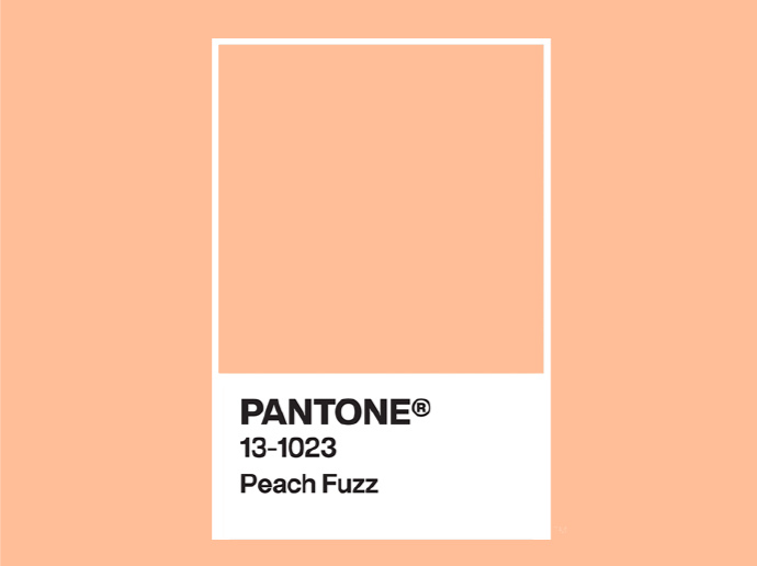 world好看 | 官宣！PANTONE 2024年度代表色：柔和桃