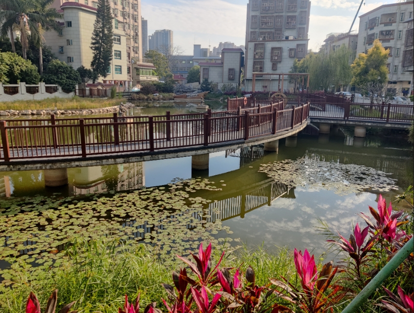 城中村治理从痛点变亮点：禧居物业将物管服务进行到“底”
