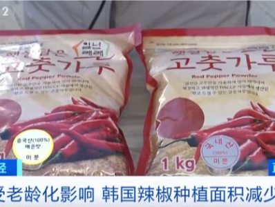 创历史新高！韩国一年进口中国辣椒酱超10万吨