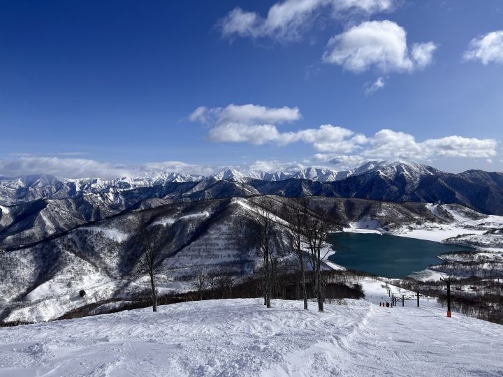赶雪记｜人文天地·南海潮
