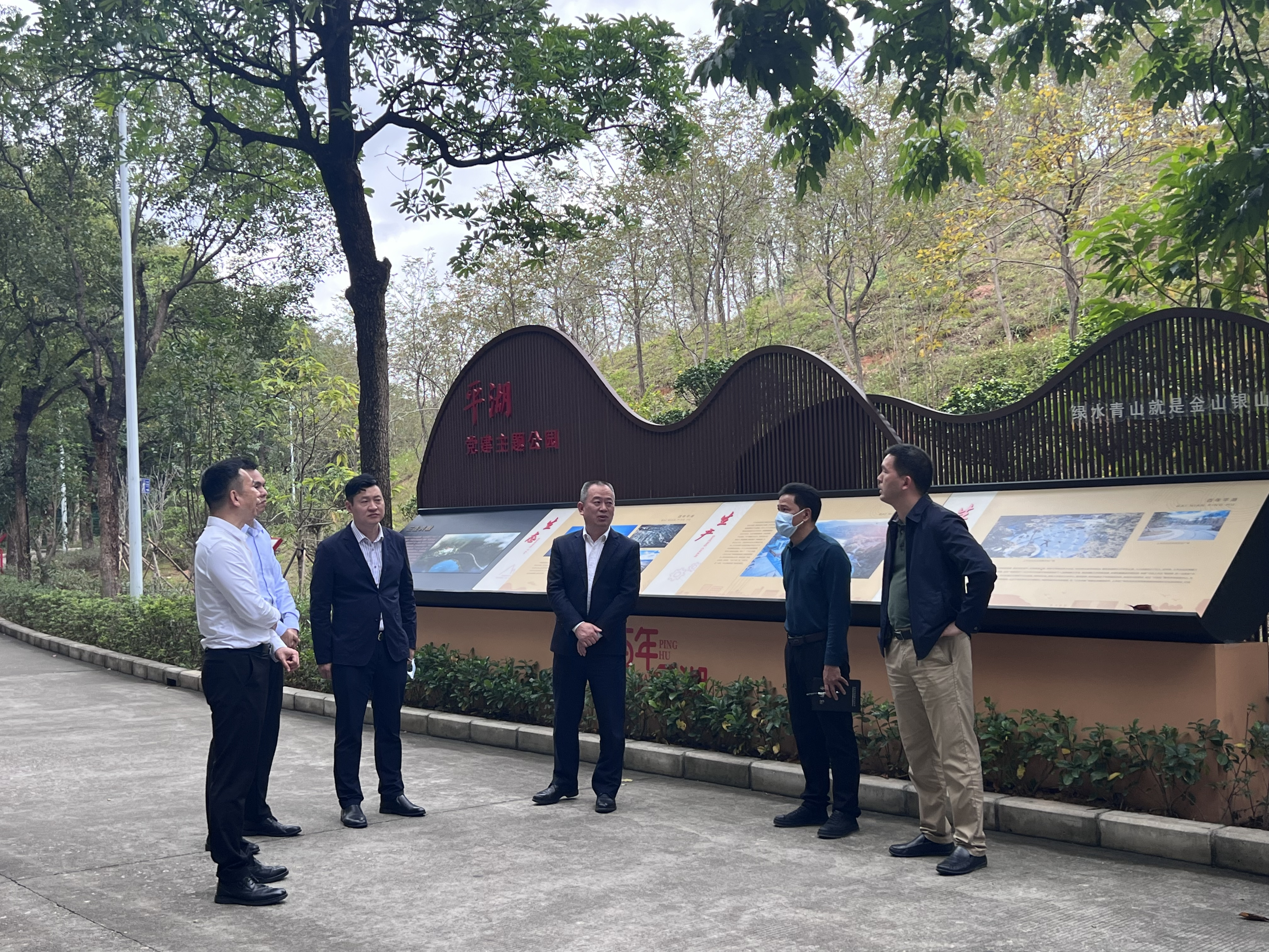 平湖街道全面深入开展林长制工作，推动生态文明建设取得新成效