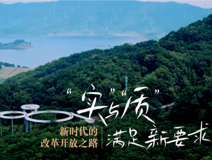 新时代的改革开放之路｜“实”与“质”满足新要求