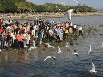 深圳湾禁渔十年后，深圳拟划定第二批禁渔海域