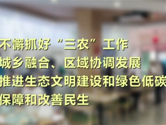 重点部署九大重点任务 2024年中国经济这么干