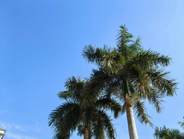 温度记 | 2023最后一天，给你一个26℃的深圳