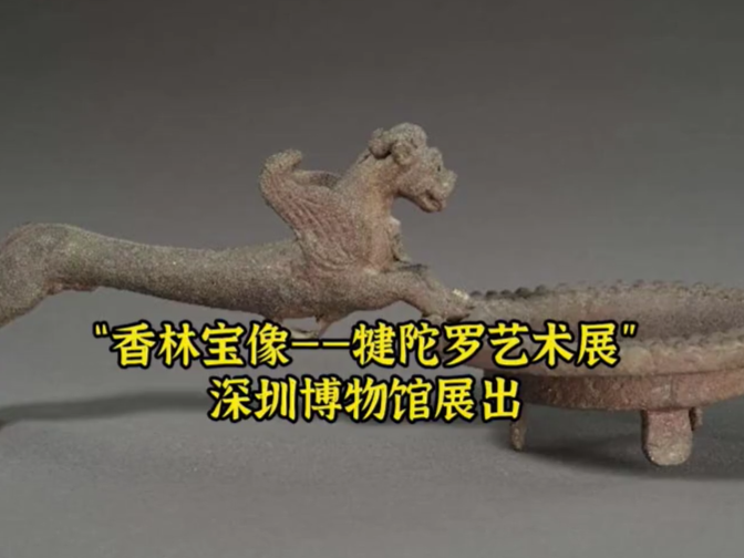 晶视频丨“香林宝像——犍陀罗艺术展”深圳博物馆展出