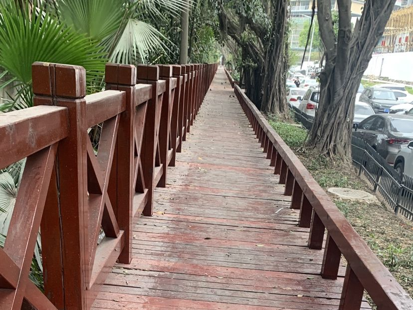 民呼我应｜赤湾路栈道通了，道路畅了，环境好了