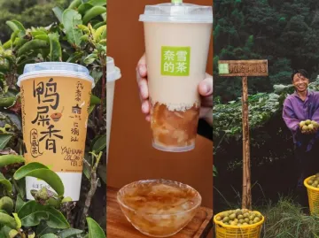 新茶饮品牌再创新 带来中式健康茶饮体验