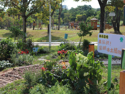 宝安区新增15个共建花园
