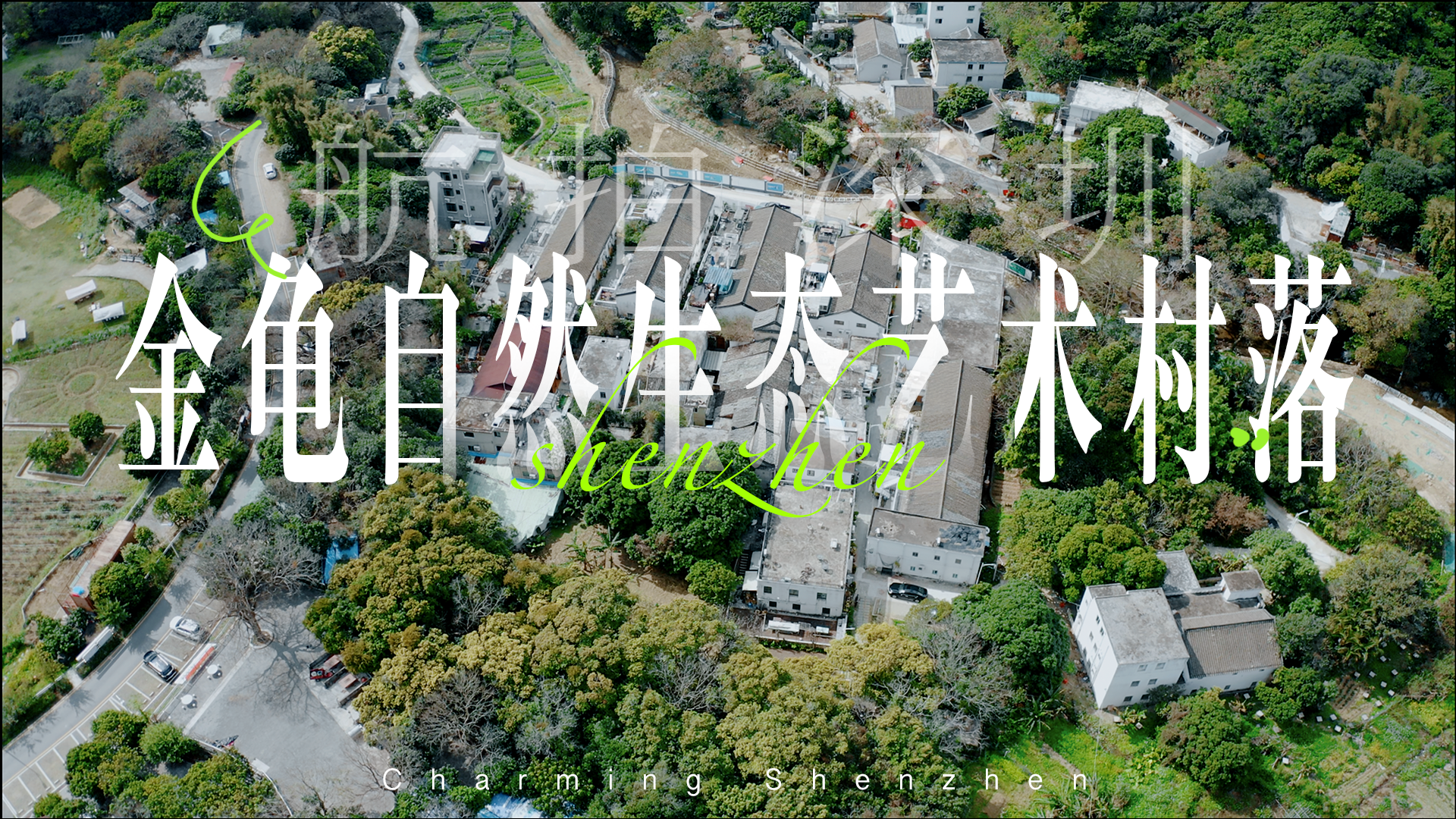 航拍深圳｜俯瞰金龟自然生态艺术村落