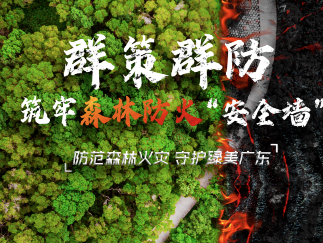 安全你我他｜群策群防，筑牢森林防火“安全墙”！