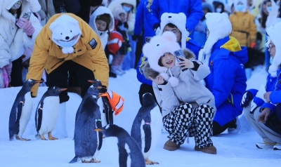 “淘学企鹅”又巡游了，来看看吧→