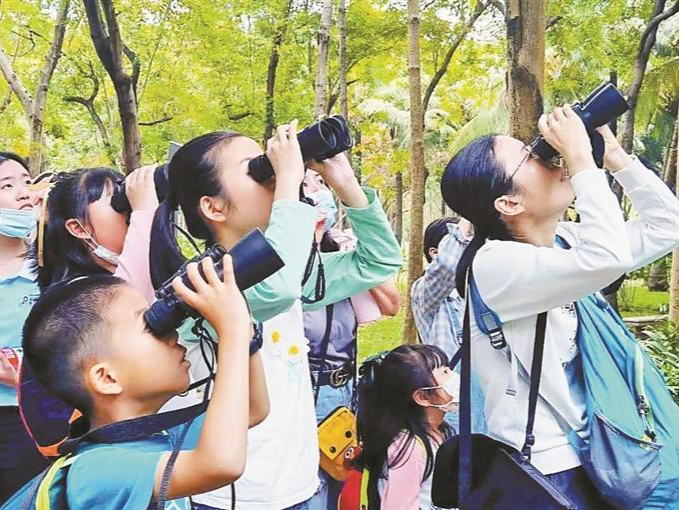抓住机会，今早还有一场！“云看”红树林自然保护区4万候鸟如何越冬