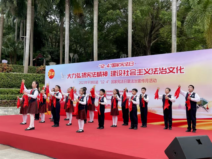 国家宪法日，看深圳学校如何精彩呈“宪”