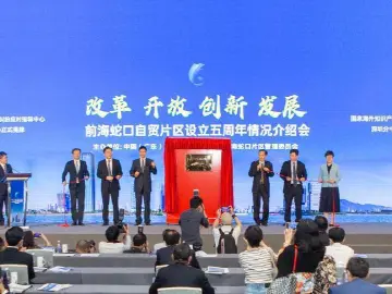 中国（深圳）知识产权保护中心运行5年硕果累累  早维权快保护 企业出海“护身符”