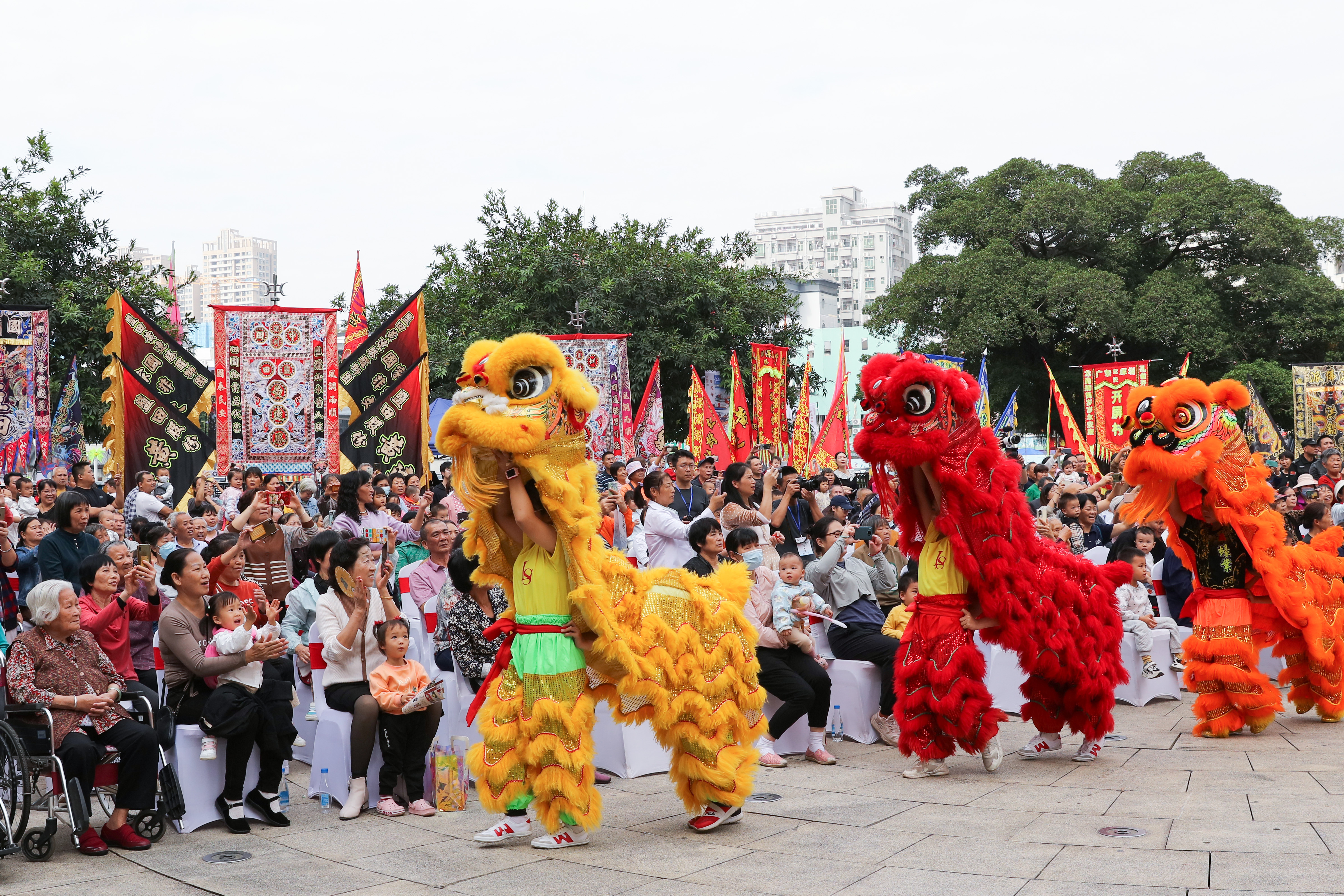 （重复提交请驳回）醒狮、狮舞、洪佛拳、螳螂拳等精彩上演，深圳非遗周宝安分会场启幕