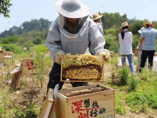 驻镇在两英，一支水务尖兵的帮扶故事