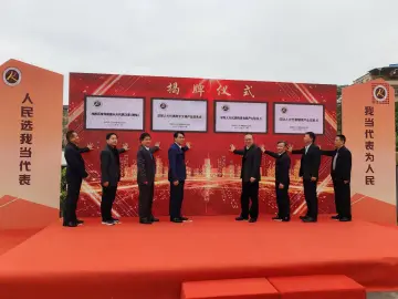 为“专业代表”搭建平台，深圳设立17个市人大代表行业和产业联系点