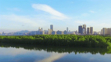（重复，请驳回）碧水风华织锦绣，绿美福田满目新
