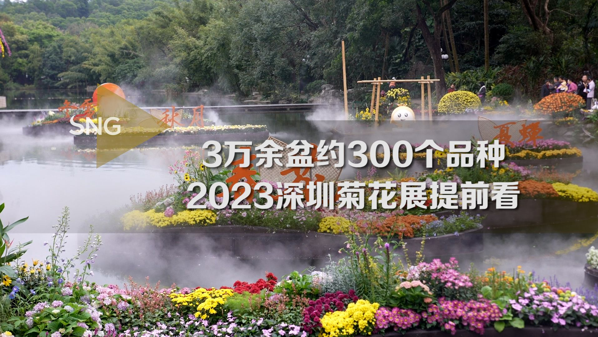 2023深圳菊花展如约而至