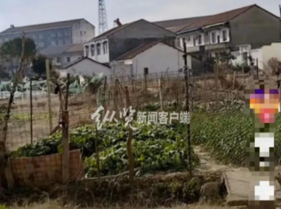 湖北一镇政府强拆村民菜园，称“难登大雅之堂”？当地回应