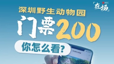 在场｜深圳动物园门票200元一张，你觉得贵吗？