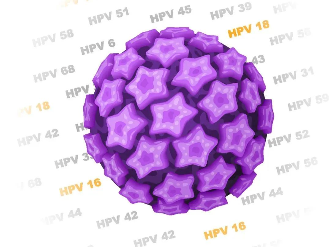 情侣疑因在外旅游住宿感染HPV，这些知识点你需要知道→