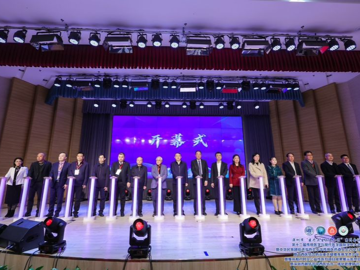 （等记者和元春确认）第十二届传统医学与现代医学国际学术大会在深圳召开