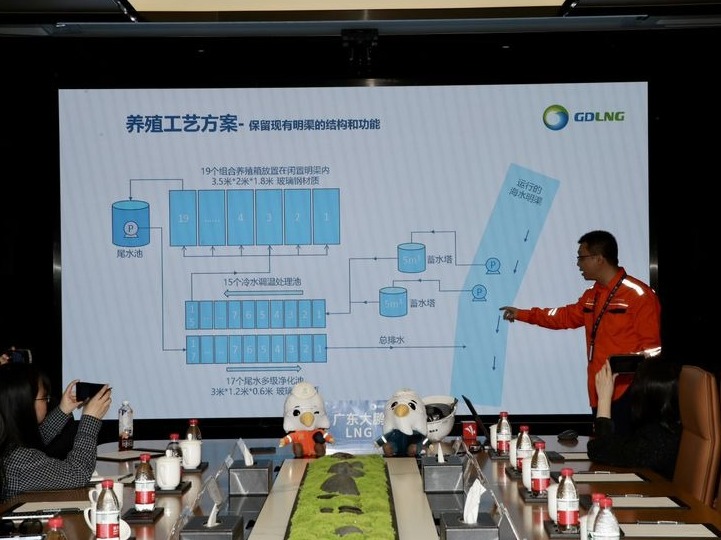 全国首个液化天然气冷能养殖示范项目在深圳大鹏正式出鱼