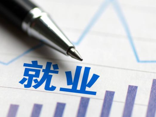 提高就业补助资金使用效益，哪些人可享受补贴？