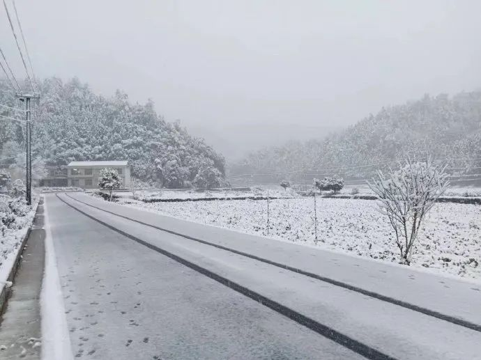 暴雪何时来？冻雨在哪下？最新消息→