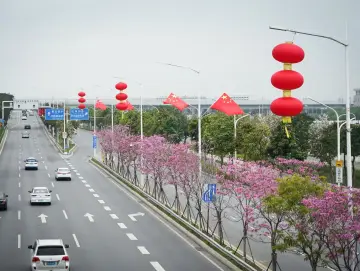 深圳春运预计发送旅客1300万人次，交通部门多举措保障出行安全