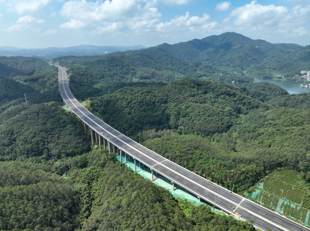车在路上行，人在画中游！广东开展绿美公路创建工作