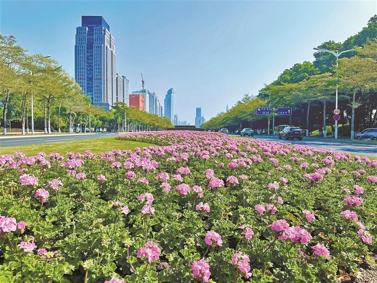 2023年度深圳市市容环境综合指数揭榜