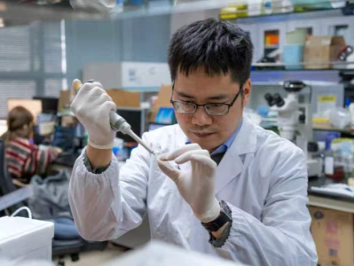 中大科研团队发布首个人类肢体发育单细胞时空图谱