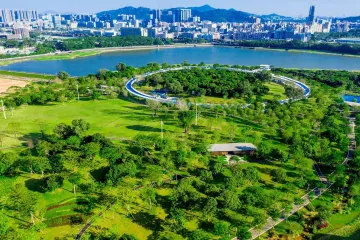 让高质量发展的绿色底色更厚重些——七论学习贯彻市委七届八次全会暨市委经济工作会议精神