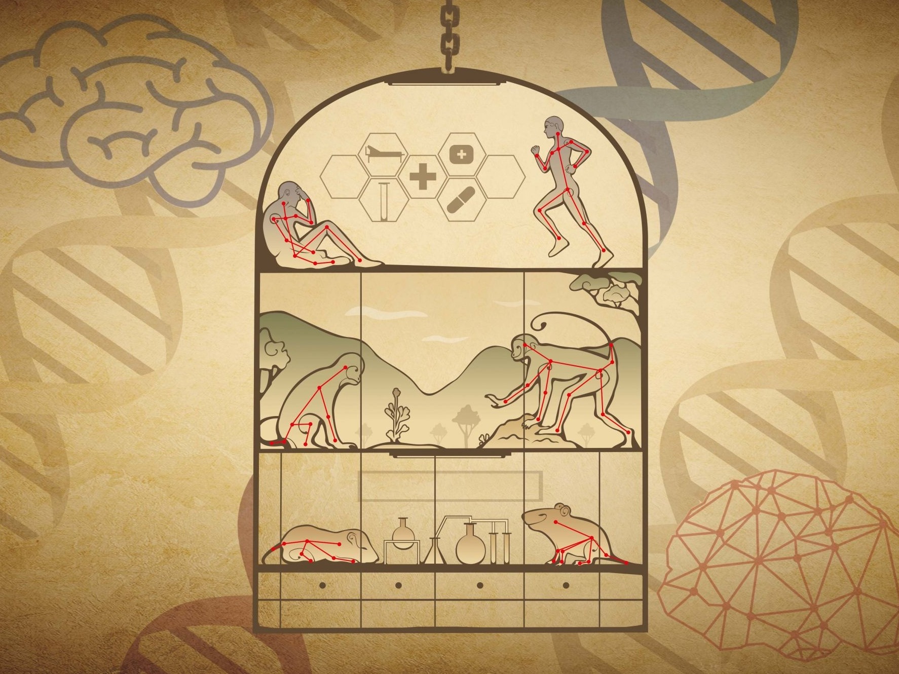 当AI遇上神经科学，新技术精准解码社交行为模式