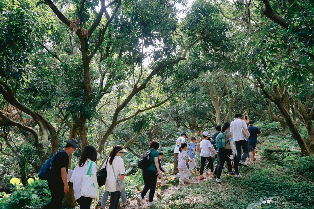 南山郊野径征名线上投票启动！快来pick你最喜欢的名字→