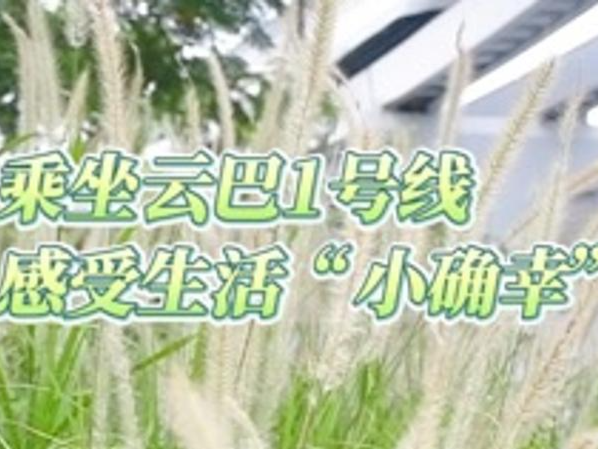 晶视频 | 乘坐云巴1号线 感受生活“小确幸”