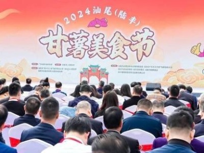 “小甘薯”撬动“大产业”！2024汕尾（陆丰)甘薯美食节开幕