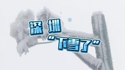 深圳“下雪了”！