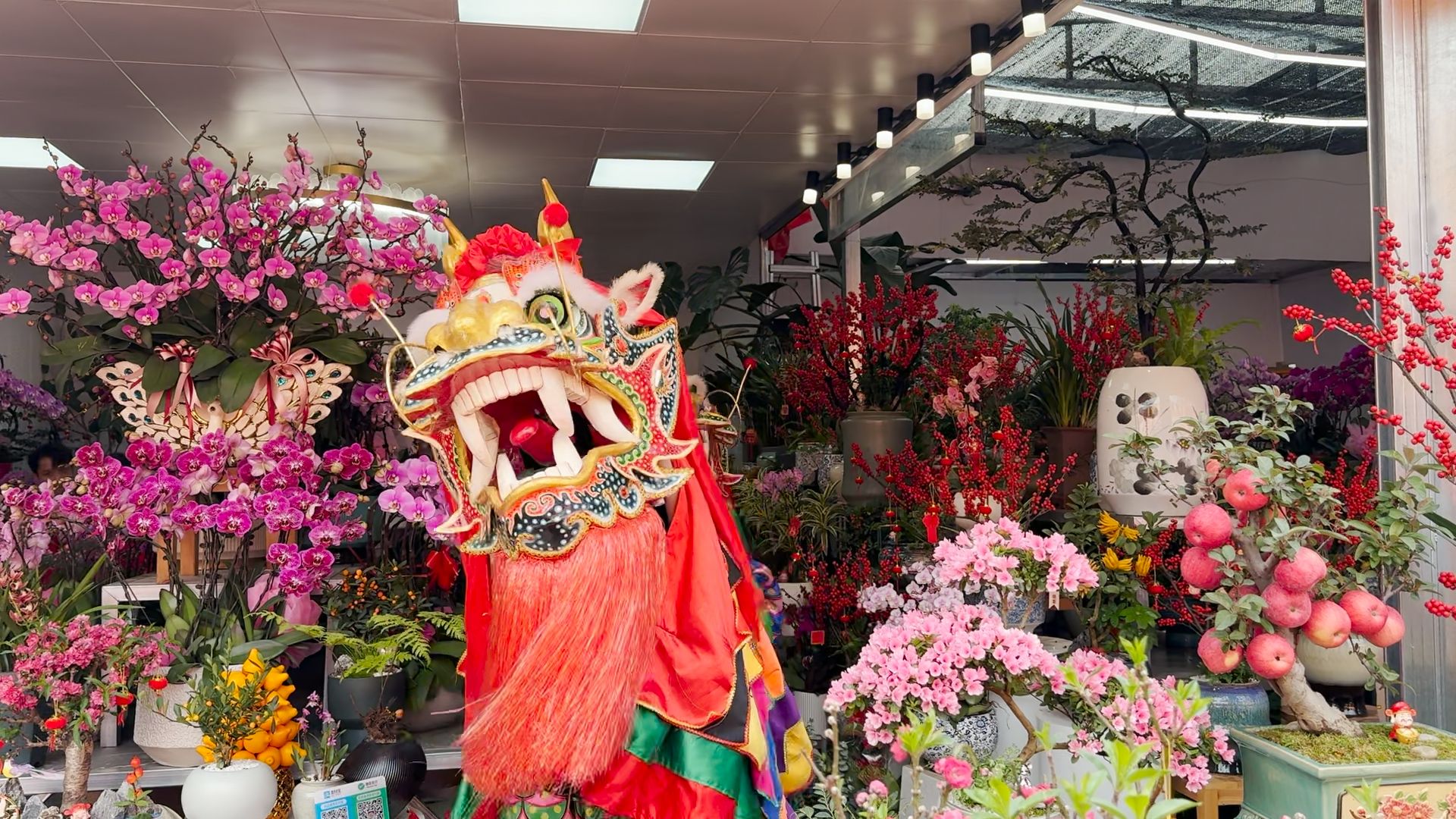 宝安迎春花市“龙”重登场
