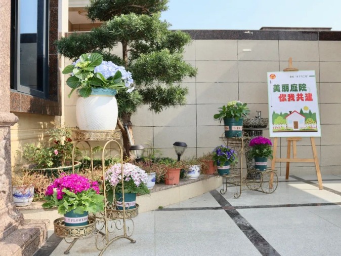 “美丽庭院”大家建，桥头广大家庭齐齐扮靓美好家园