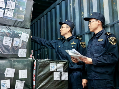 一年可减少146万纸箱使用！深圳海关推进电商快递包装“绿色转型”