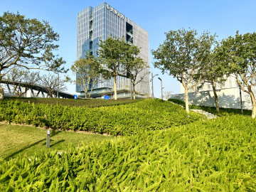 新湖街道积极推动一批绿岛园区建设